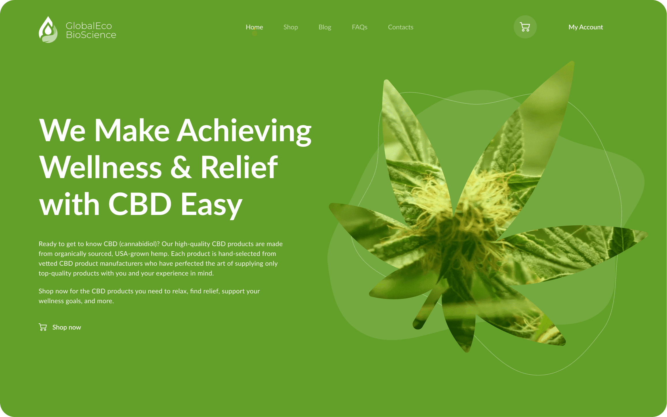 Website Design for CBD store